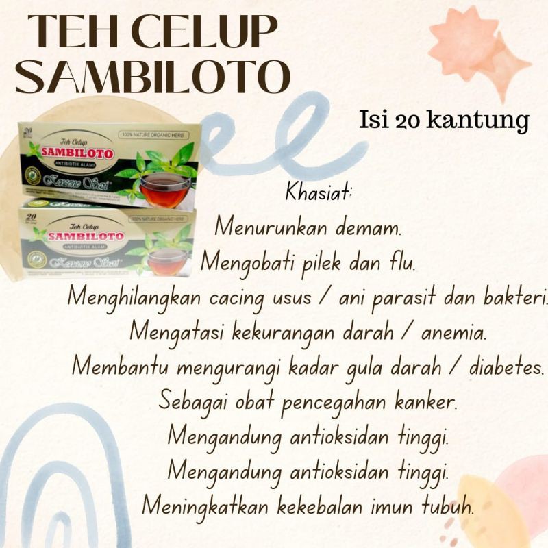 

Teh Celup Sambiloto