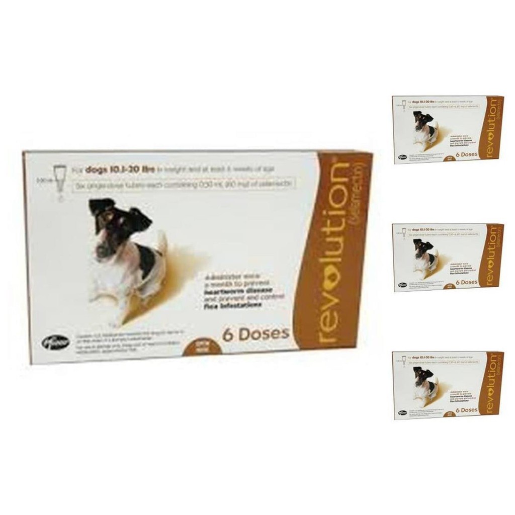 REVOLUTION BROWN DOG 10-20 LBS / OBAT KUTU / 1PCS BUKAN PER BOX