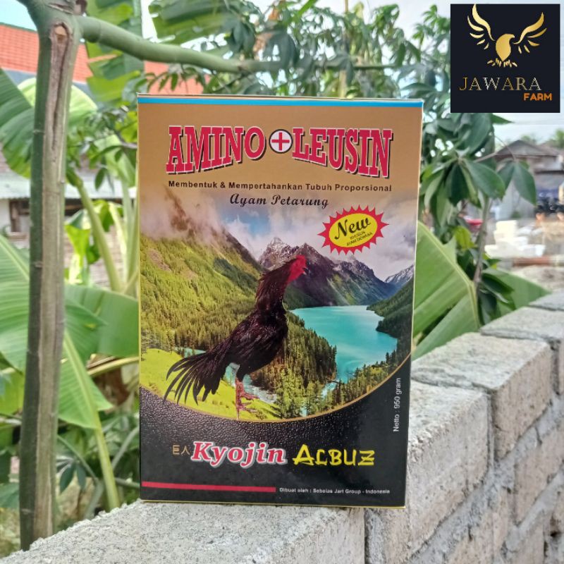 Kyojin Albuz - Pakan ayam raksasa