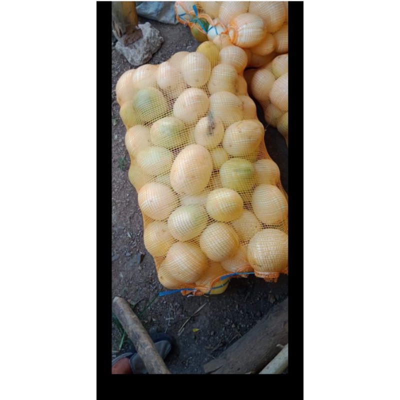 

buah segar timun suri