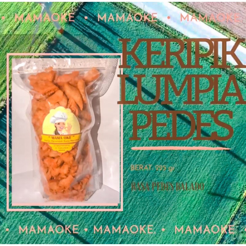 

Keripik Lumpia Balado Pedes Manis Kemasan Jumbo 190-200 gr By MamaOke