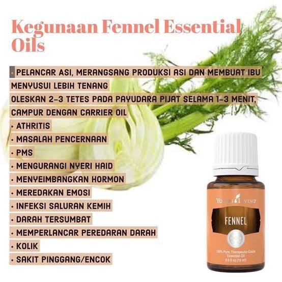 Young Living Fennel Essential Oil Shopee Indonesia