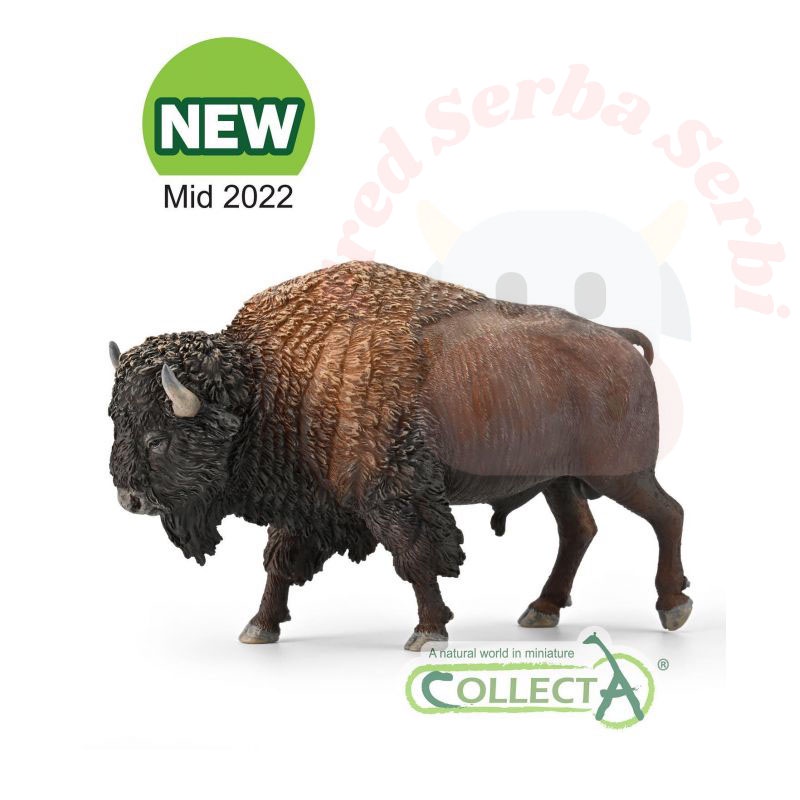 CollectA - American Bison 2022