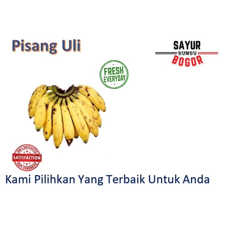 

Pisang Uli 1 Sisir / Pisang Segar