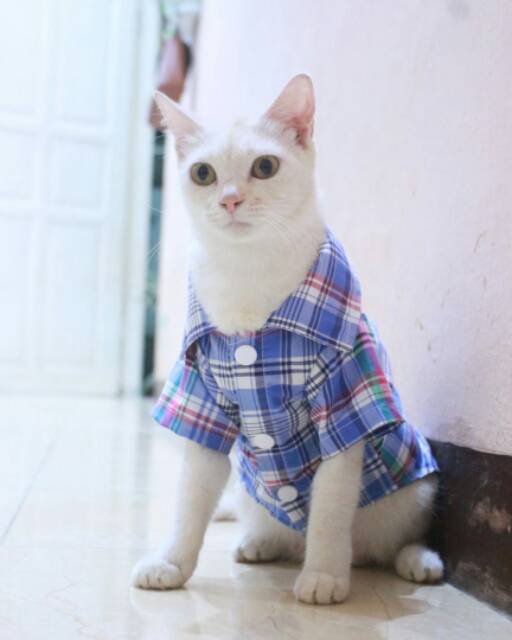 Kemeja kotak-kotak biru besar lucu untuk kucing dan anjing size S M L XL