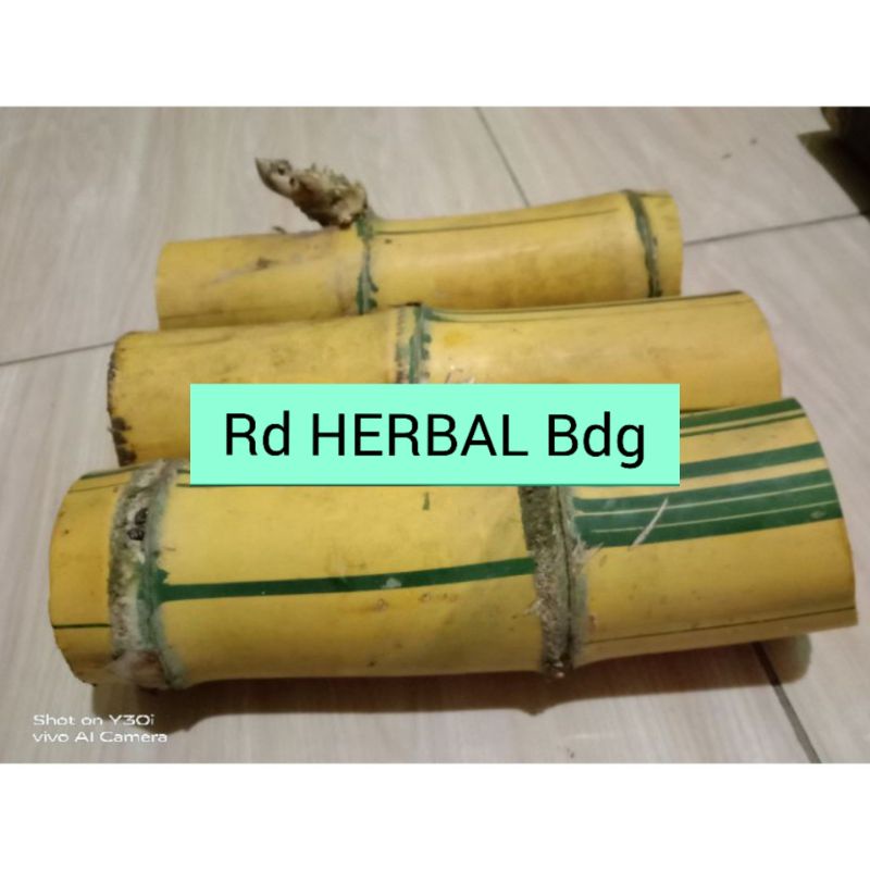 Bambu kuning berkualitas bahan kerajinan
