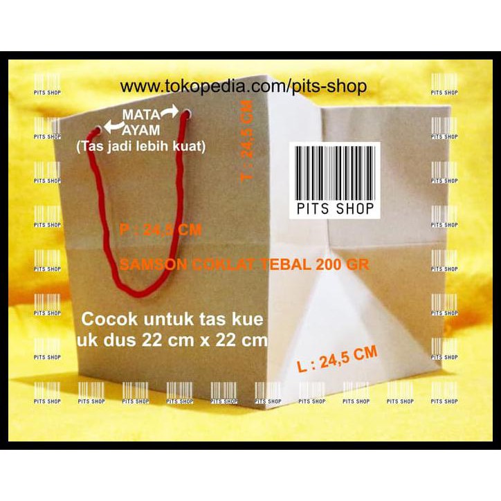 

5C11 PAPER BAG SAMSON COKLAT TEBAL ( P X L X T : 24,5 X 24,5 X 24,5 CM ) 50VS