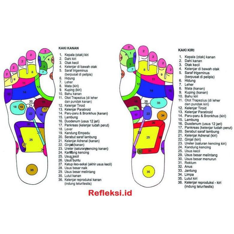 [ bisa COD] ~ KINOKI GOLD REFLEKSI KAKI ISI 10PC / BOX