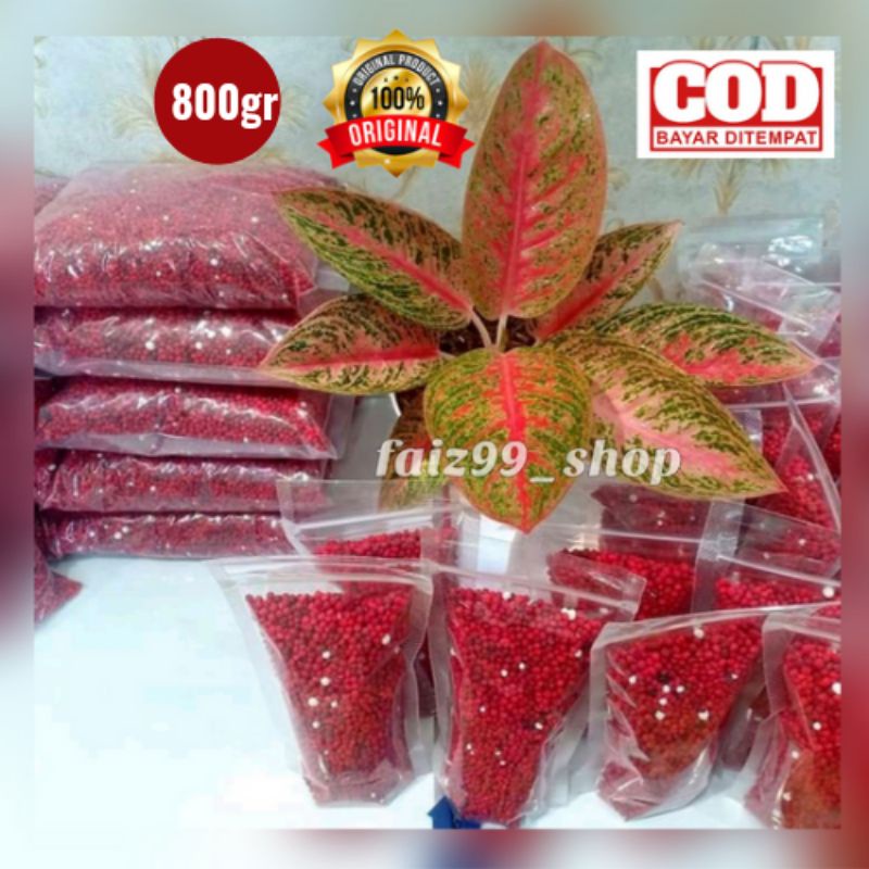 SLOW RELEASE MERAH Sk COTE Pupuk Merah 800 gram Pupuk sr Pupuk tanaman hias SR19-10-13 Kemasan 800 g
