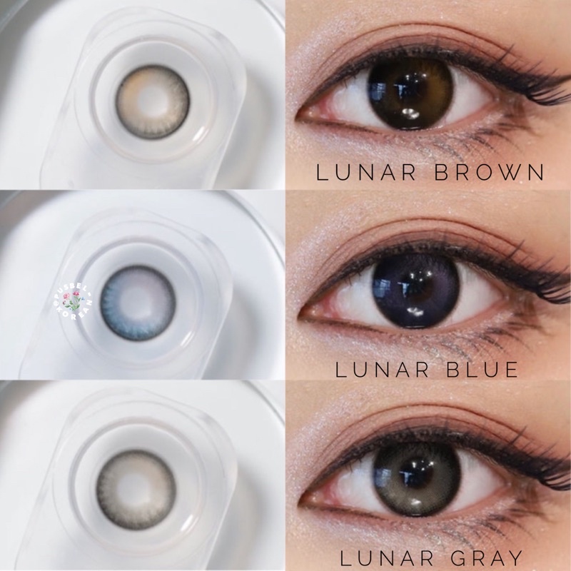 Softlens lunar gray brown green blue original korea pusbel korean