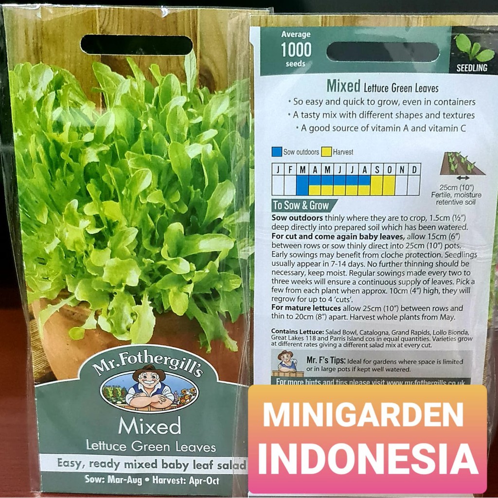 BENIH LETTUCE GREEN LEAVES Mixed PACK 1000 BIJI bibit sayur selada hijau hidroponik f1 Mr Fothergills