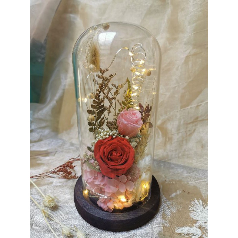 Dome glass preserved flower 2 rose