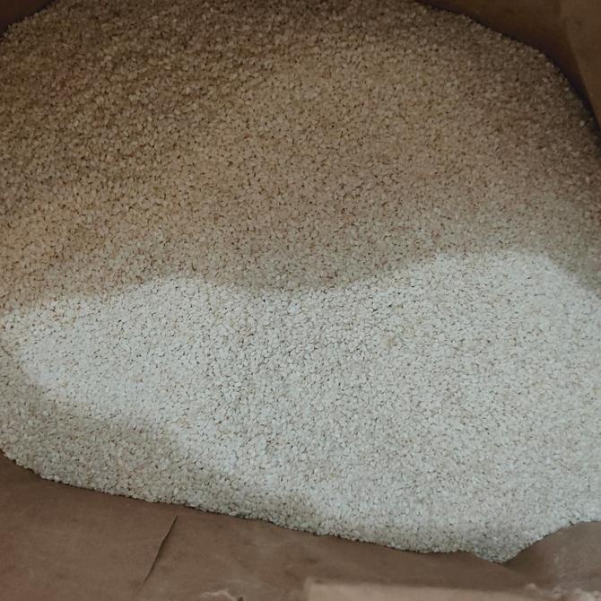 

Wijen Putih / White Sesame Seeds 2 karung / 50kg