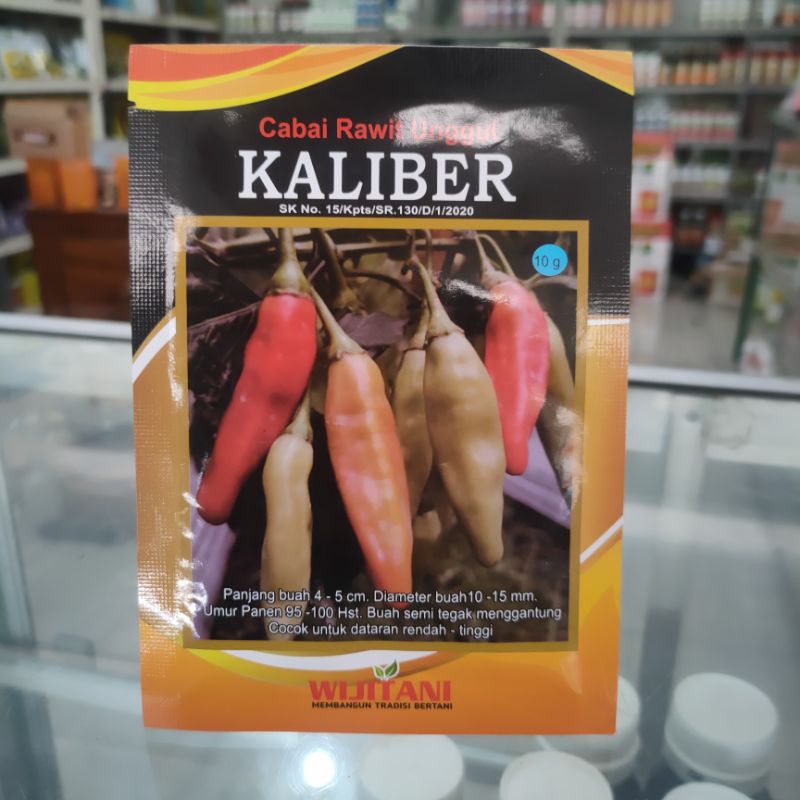 BENIH cabai rawit unggul kaliber