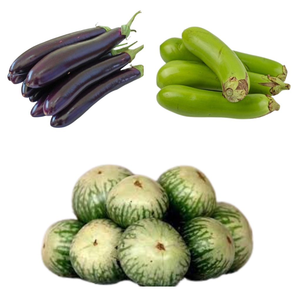 

Aneka terong (terong ungu ,terong hijau ,dan terong belanda) 500g super meriah