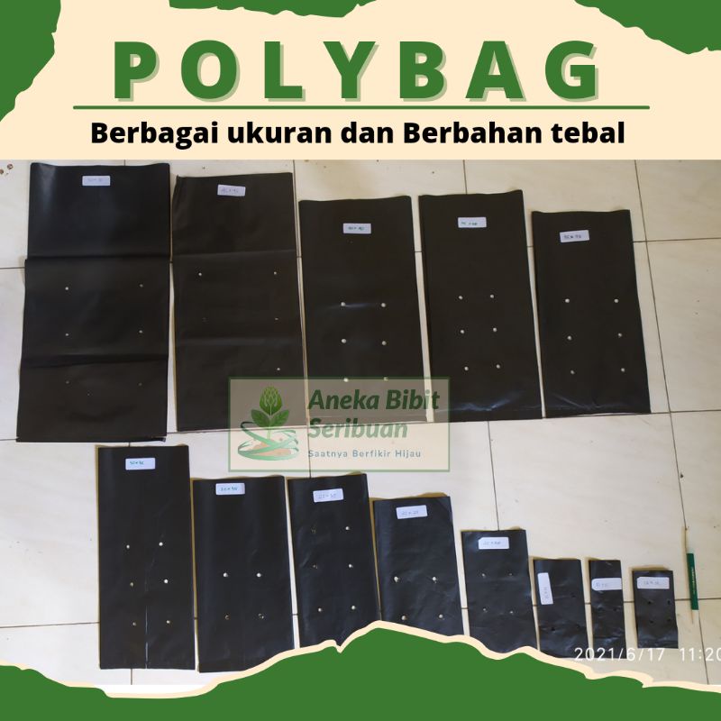 polibag Jumbo ukuran  40X40  45X45 45X45 50X50