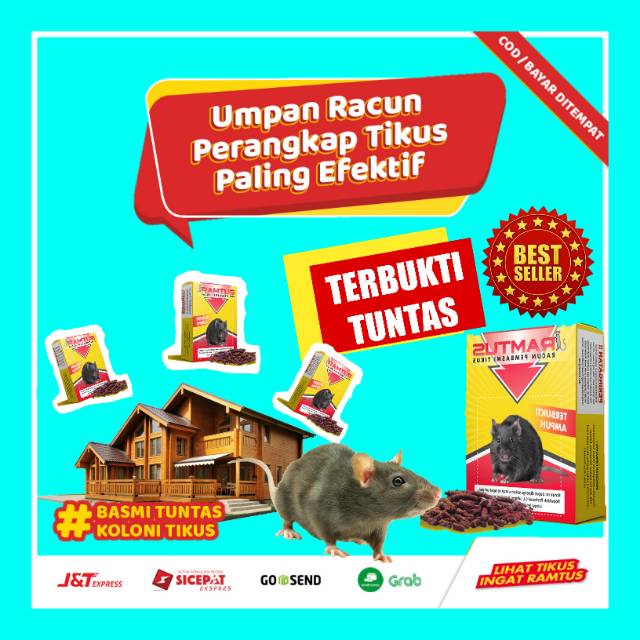 Racun tikus curut / got / atap /di rumah / kap mobil ...