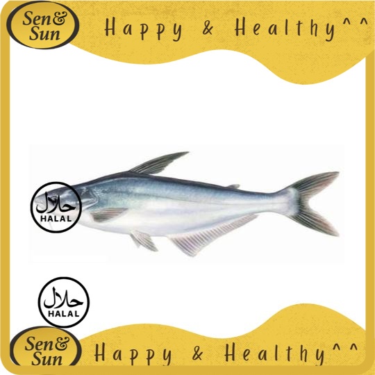 

Sen&Sun Ikan Patin 500 gr