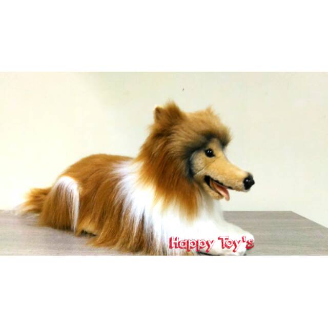 Boneka Anjing Collie Lassie Shopee Indonesia