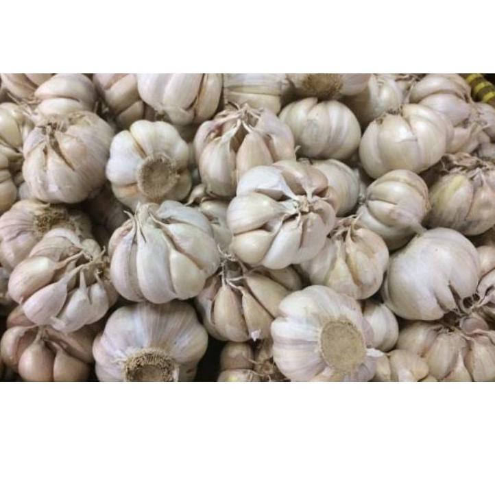 

Diskon!! (dit-764) BAWANG PUTIH HANON 1 KG PROMO