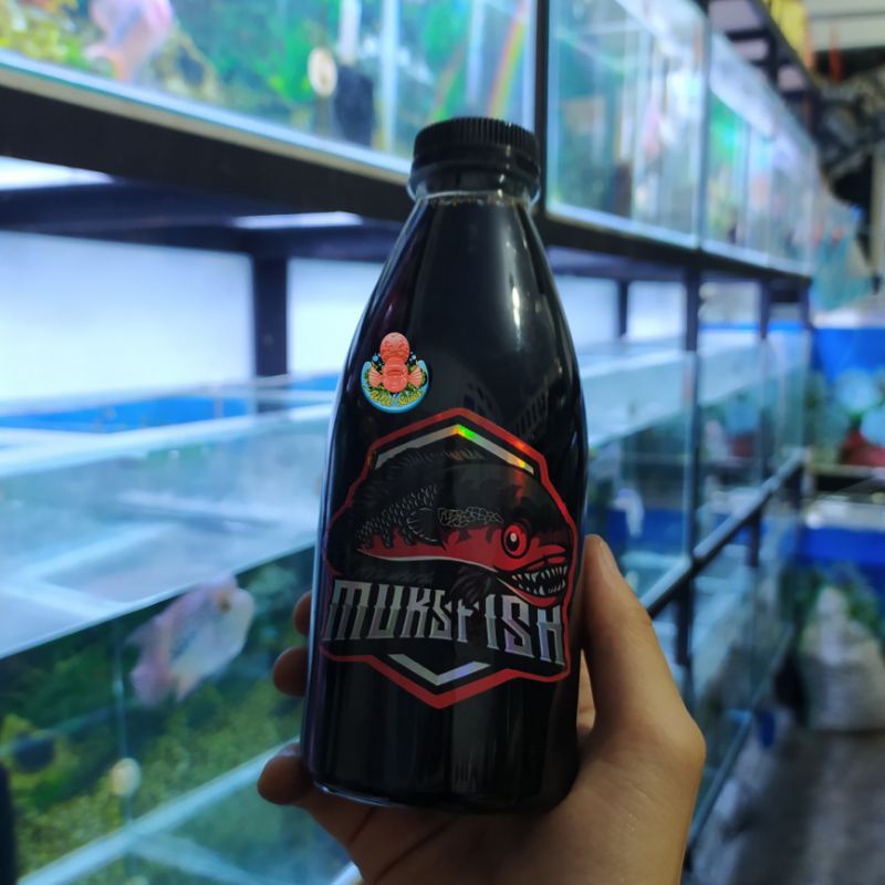 EKSTRAK KETAPANG LAUT SUPER PEKAT rahasia channa kontes MUKSFISH 330ml KING OF RED - progress treatm