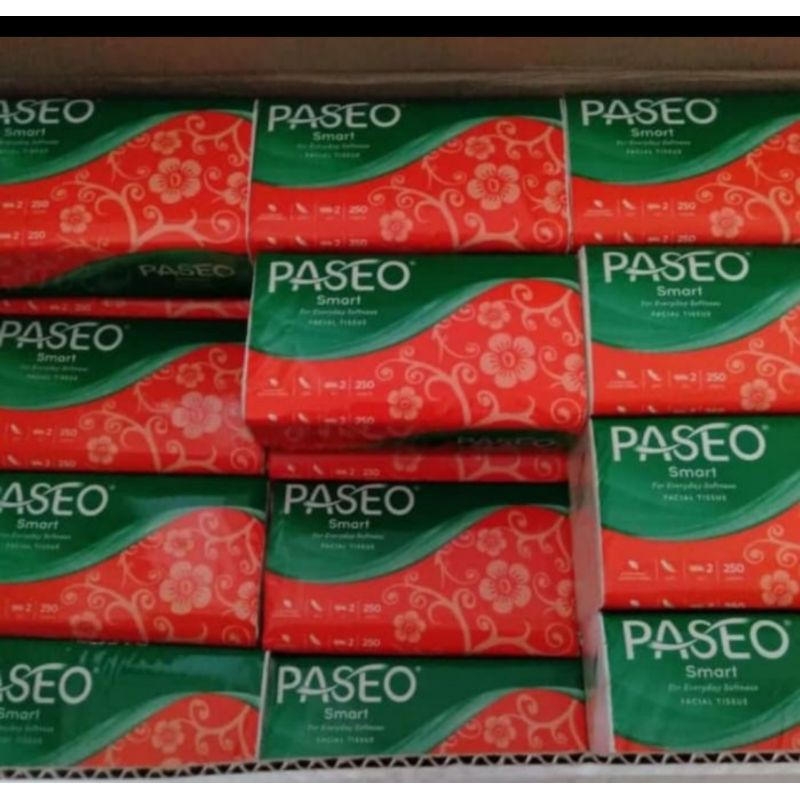 TISU PASEO 250 SHEET SEDUS 48PCS INSTANT