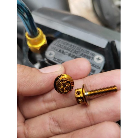 BAUT PROBOLT TUTUP MINYAK REM MASTER REM FLOWER GOLD DAN BIRU BAUT PROBOL TUTUP MINYAK REM HARGA PERBIJI UNIVERSAL SEMUA MOTOR BAUT TUTUP MINYAK REM UKURAN M4X15