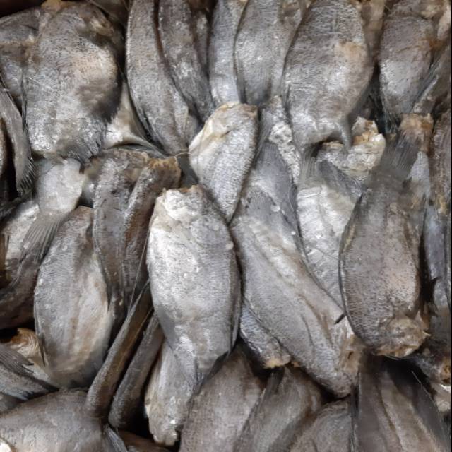 

Ikan Asin Sepat Thailand Besar 500gr