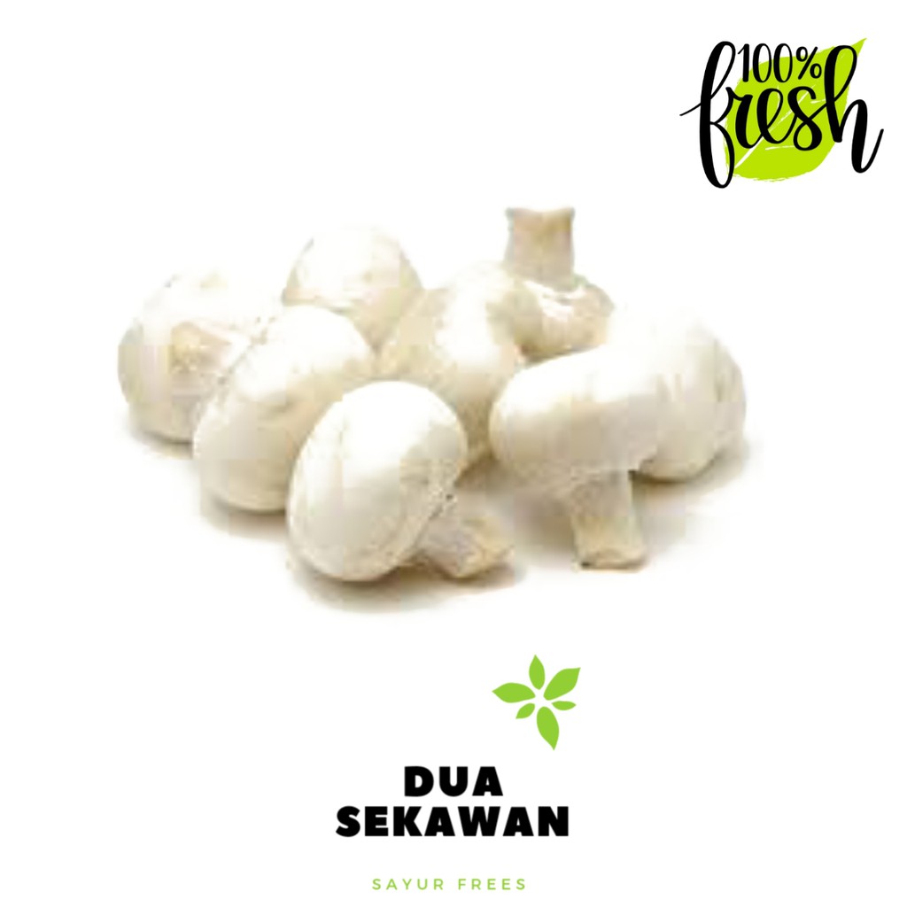 

Dua Sekawan | jamur kancing 250 gr