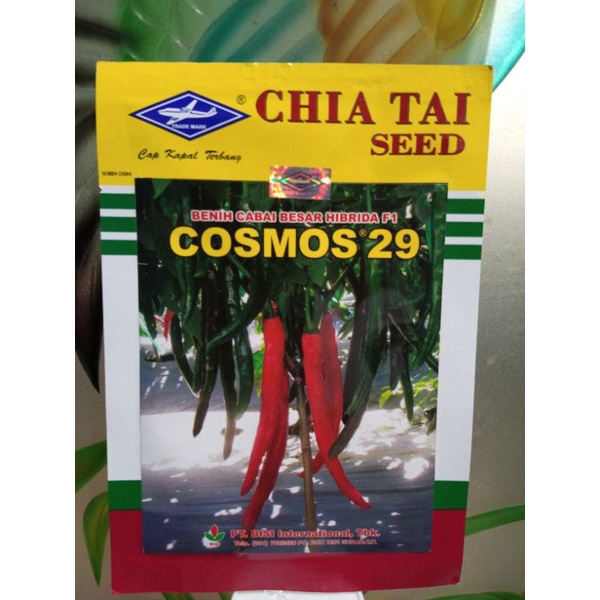 benih cabai besar hibrida F1 cosmos 29