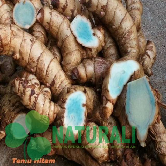 

Temu hitam basah segar 250 gram kunyit kunir temu ireng siap ambil ke kebun