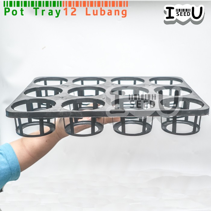 Pot Tray Semai Benih/Bibit Anggrek 12 Lubang