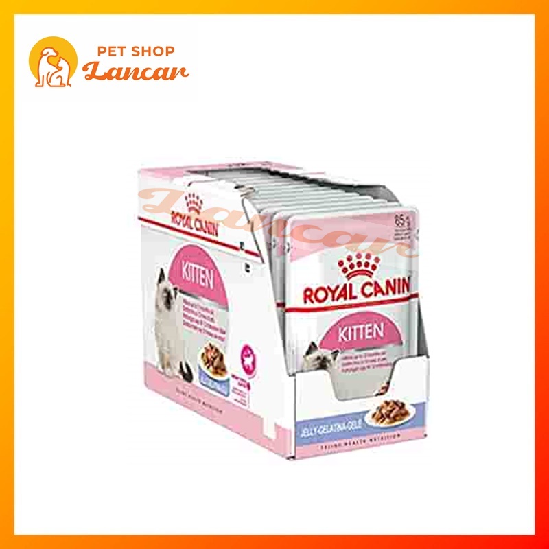 royal canin kitten pouch JELLY - makanan basah anak kucing 85gr