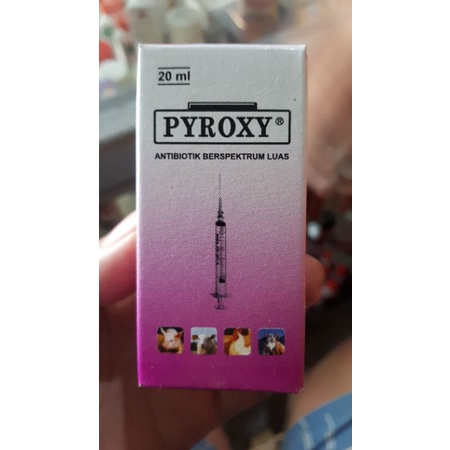 Pyroxy Antibiotik spektrum luas (obat pmk, kaki busuk sapi kambing hewan besar)