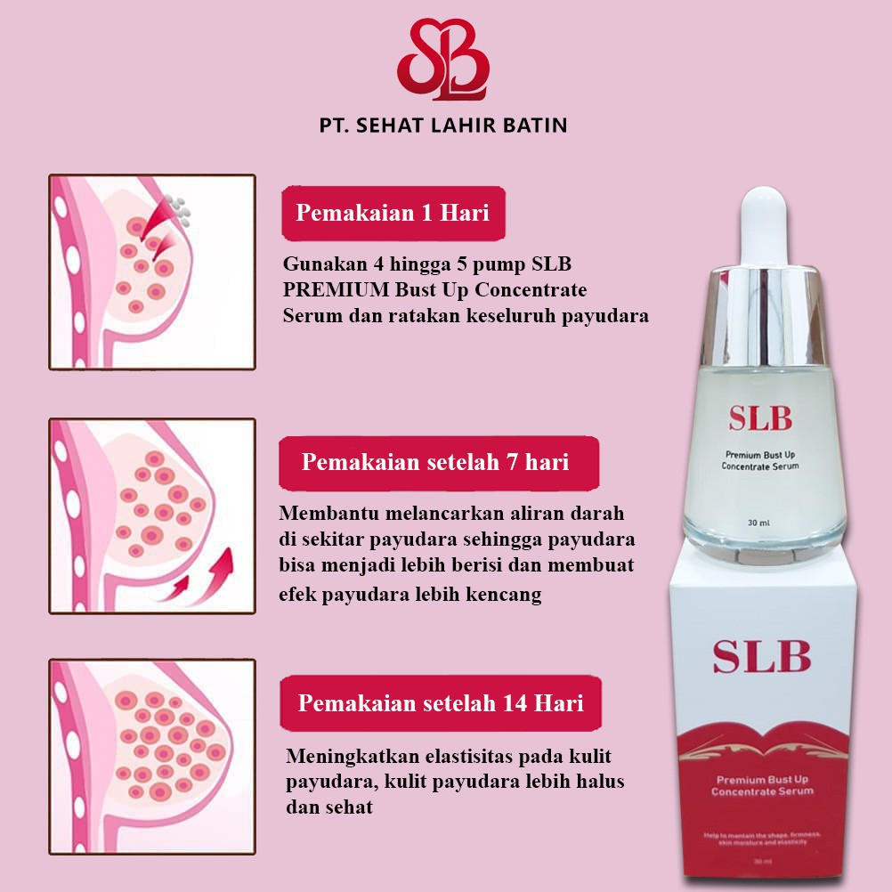 Pembesar Payudara SLB Premium Bust Up Concentrate Serum AMPUH