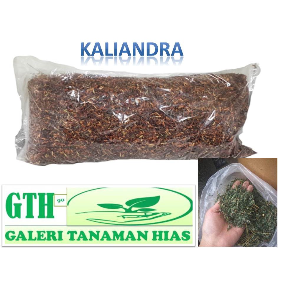 Media anggrek Kaliandra | Media tanam kaliandra penggemuk batang anggrek | Kaliandra