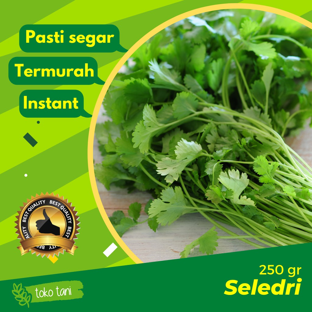 

Seledri 250gr