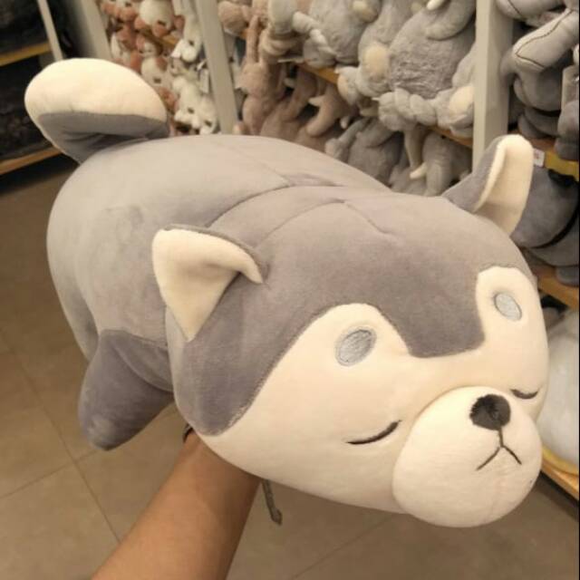 miniso husky plush