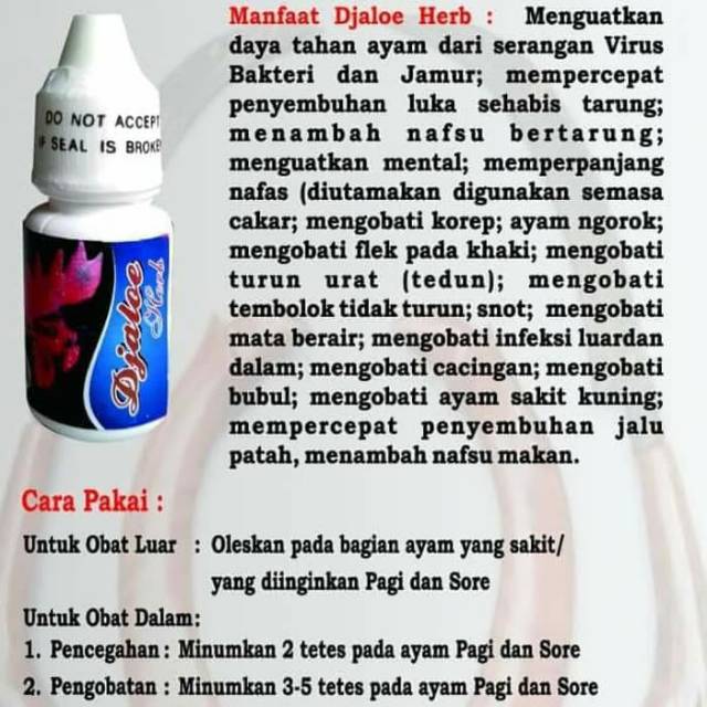 DJALOE HERBAL - ayam sakit apapun - sakit ngorok