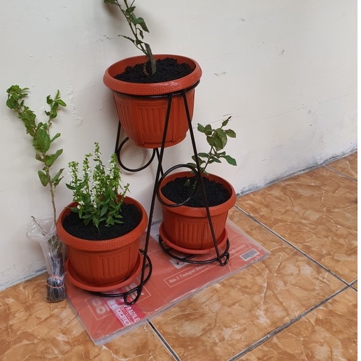 NEW Standing Pot Murah Model Ram A MINI / PLANTER POT RAM