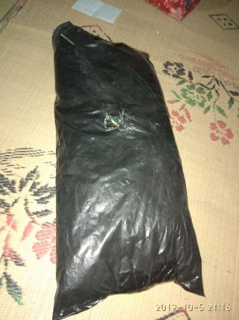 Wanflower Daun Mangga X5 * Hijau Lis Kuning (perlusin)