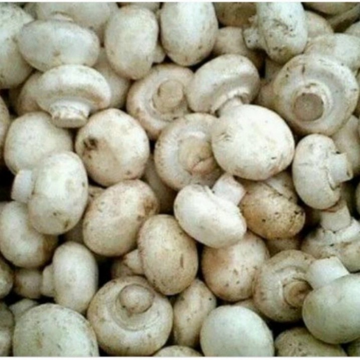 

Jamur Champion / Kancing / Champignon / Bulat Fresh Alami 500 gram/MANTAP OKE
