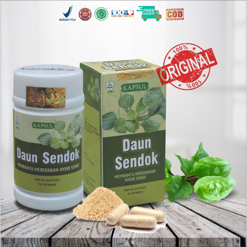 

KAPSUL DAUN SENDOK Obat Nyeri Sendi / Pegel linu/Asam urat/Reumatik dll /Herbal daun sendok isi 60 kaps kwalitas Extrak