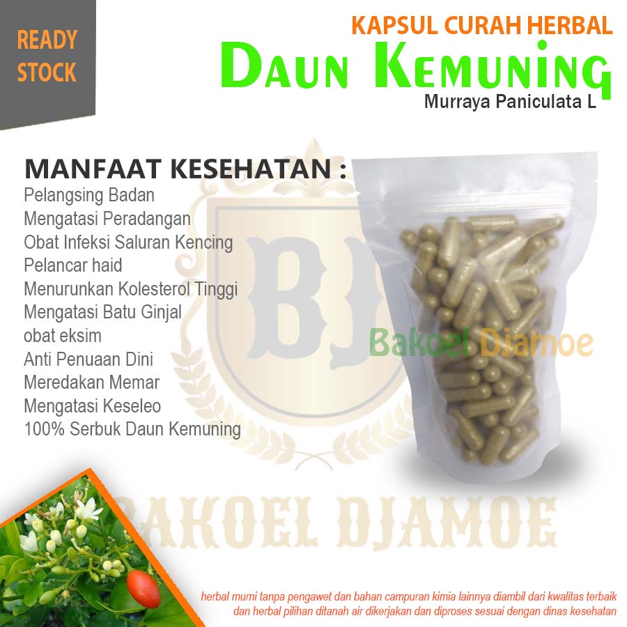 

Kapsul curah herbal daun kemuning kapsul herbal kolesterol rematik