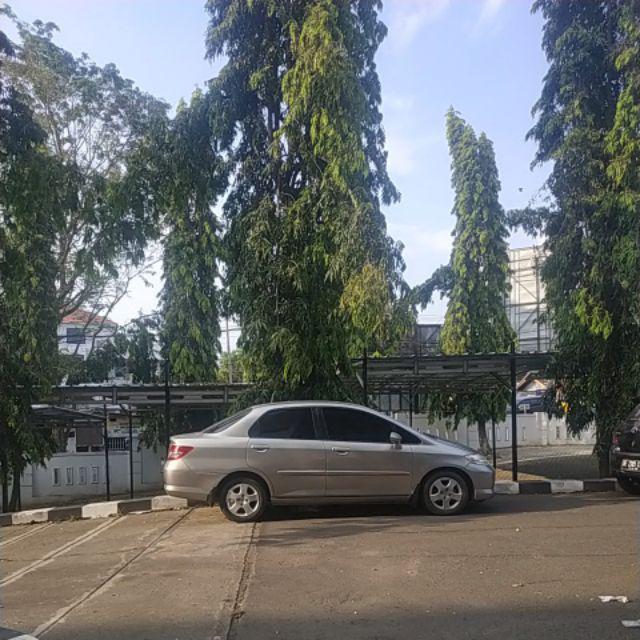 Botol Minum Herbalife 1 Liter Warna Hijau