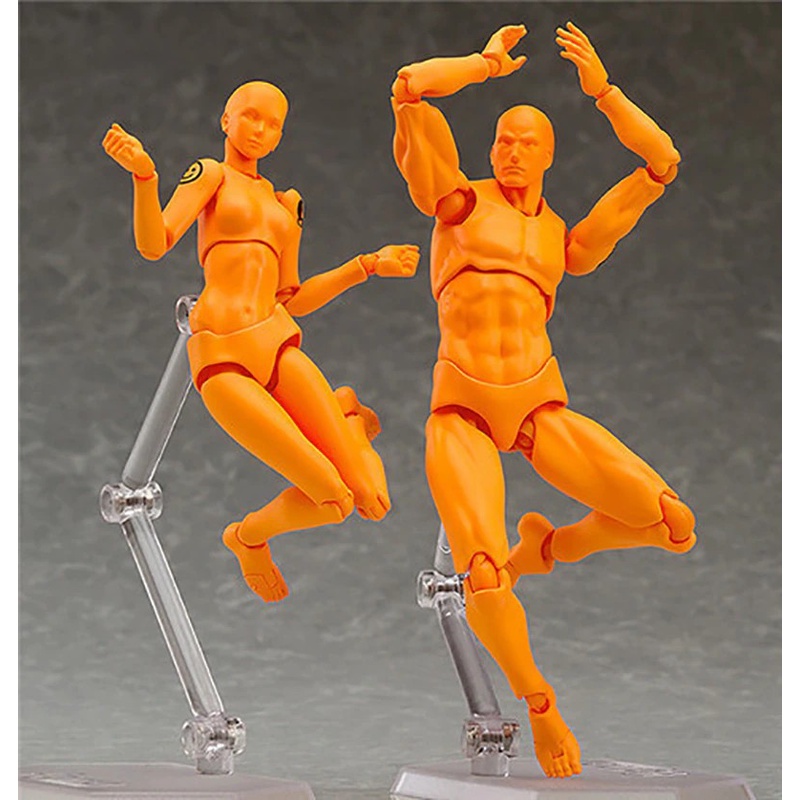 Figma Archetype Next : HE / SHE - Body Kun &amp; Body Chan