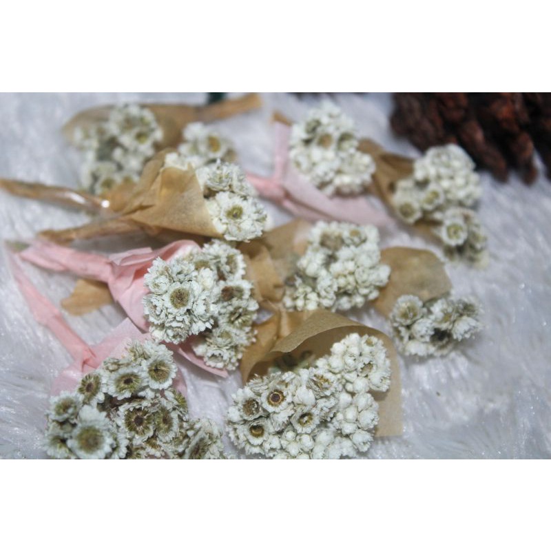 BUKET MINI EDELWEISS MURAH / BUKET BUNGA KERING / BUNGA EDELWEISS / SOUVENIR HADIAH WISUDA
