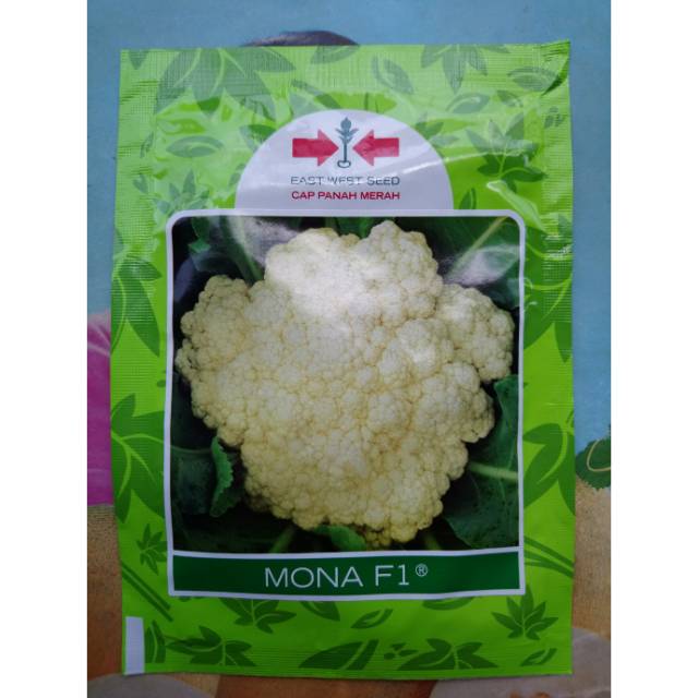 Benih Biji Kol Bunga Dataran Rendah MONA F1 10gr