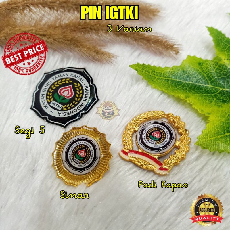 PIN IGTKI - IKATAN GURU TAMAN KANAK-KANAK INDONESIA