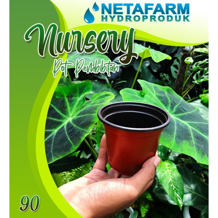 POT NURSERY ELASTIS Pembibitan Tanaman Coklat Hitam no 90 - 1 Lusin